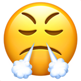 steam